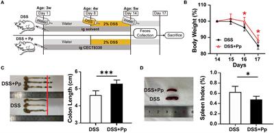 Probiotic lactic acid bacteria alleviate pediatric IBD and remodel gut microbiota by modulating macrophage polarization and suppressing epithelial apoptosis